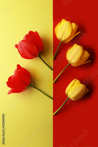 Three yellow and two red tulips on a yellow and red background