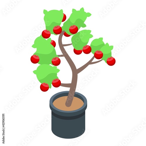 Red apple fruit tree icon. Isometric of Red apple fruit tree vector icon for web design isolated on white background