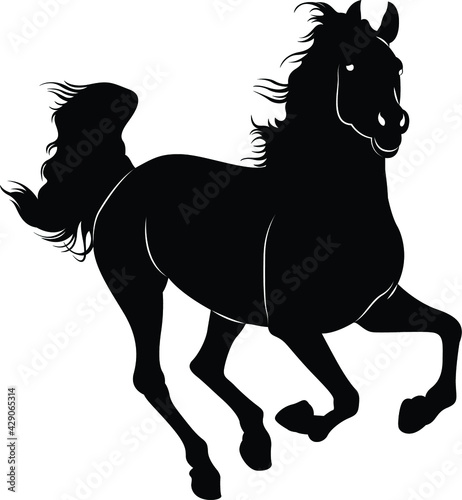 horse vector