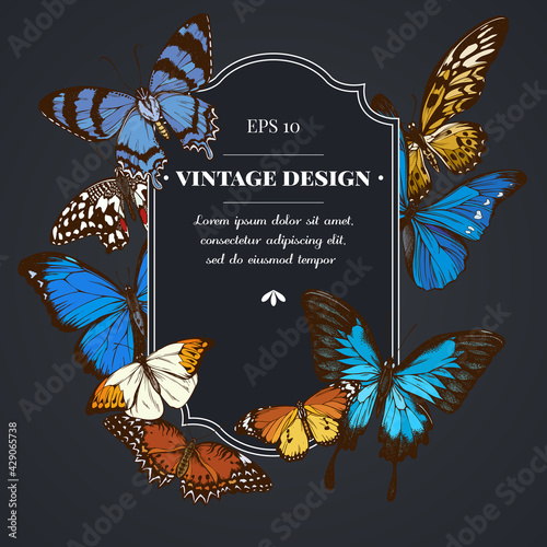 Dark badge design with blue morpho, red lacewing, african giant swallowtail, alcides agathyrsus, great orange-tip, plain tiger photo