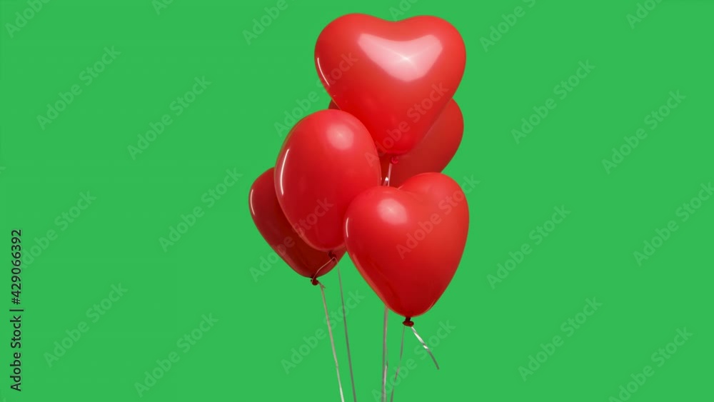 Many red heart shaped balloons hanging in the air against the background of a green screen chroma key. Close up of helium balloons as an expression of feelings and love. Slow motion.
