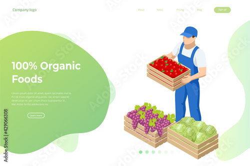 Isometric farmer holding a box with apples, cabbage and grapes. Farmer with freshly harvested apples in wooden box. Agriculture and gardening concept