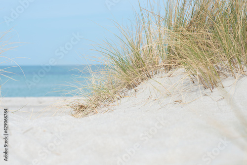 Baltic sea dunes over blue coastline background