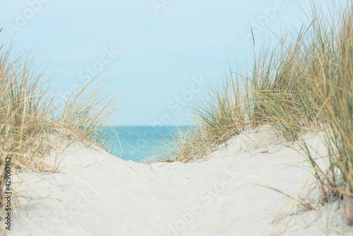 Baltic sea dunes over blue coastline background