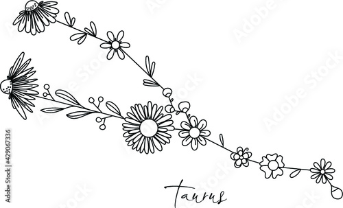 Zodiac floral constellation