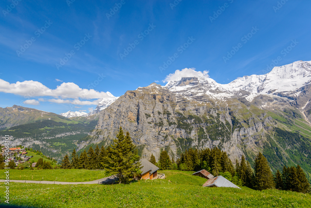 View of beautiful landscape in the Alps with fresh green meadows and snow-capped mountain tops in the background on a sunny day with blue sky and clouds in springtime.