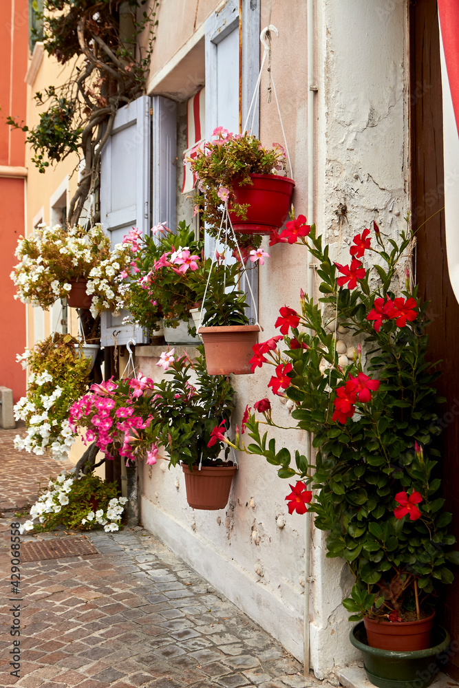 Fototapeta premium Among the flowery houses of Caorle's city