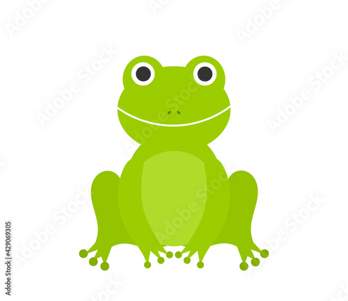 Green frog sitting. Vector illustration