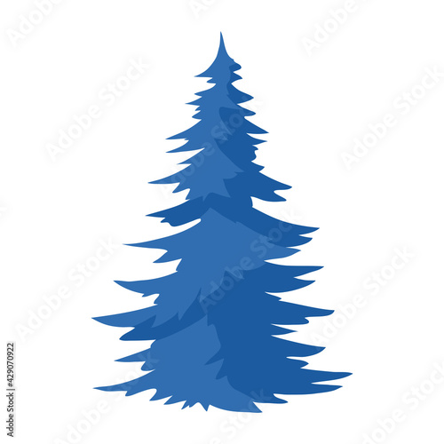 Illustration of spruce. Natural icon of blue tree.