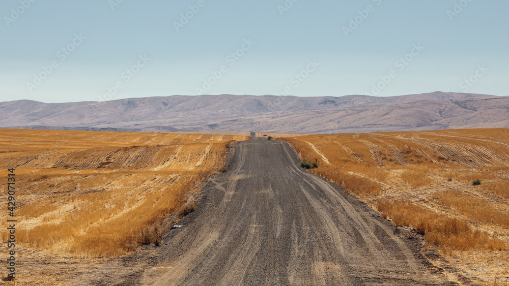 road in the prairie in Douglas County, Washington, United States.