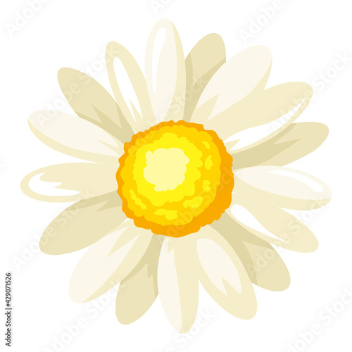 Illustration of chamomile flower. Adversting icon for industry and business.