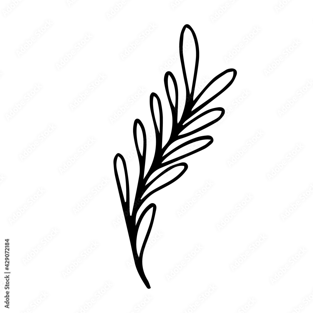 Tropical plant hand-drawn on a white background. Tropical plant hand-drawn on a white background.