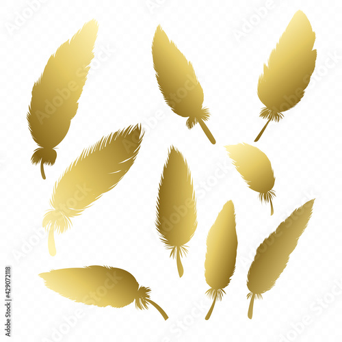 Gold feather collection.  Golden quill feathers, elegant silhouette, simple editable colour. Vector illustration.