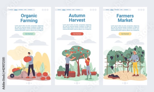 Vector cartoon flat farmer characters harvesting,workers grows and harvest vegetables,fruits-natural,organic farming,agriculture concept.Set of web online landing page templates site design