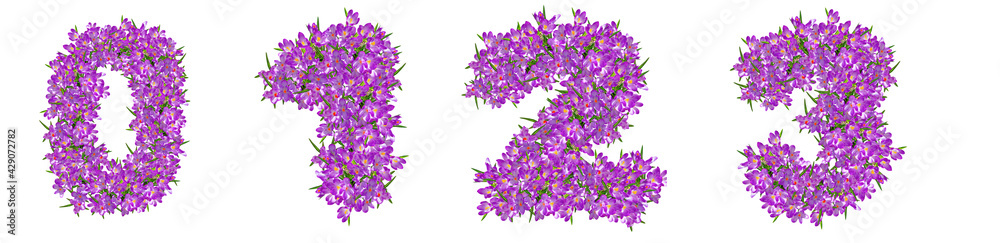 Numbers 0, 1, 2, 3 made of lilac violets