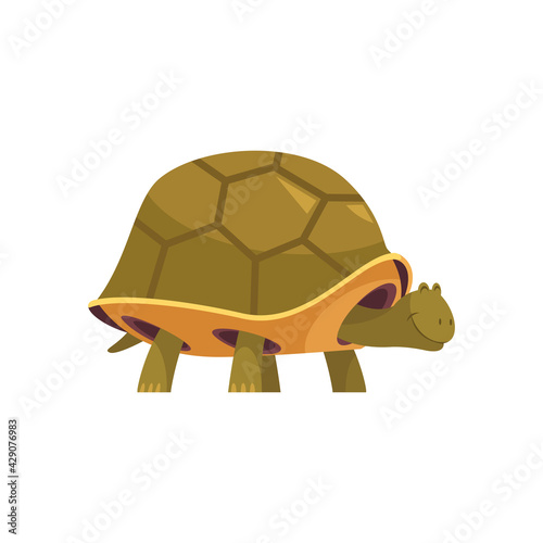 Turtle Cartoon Icon