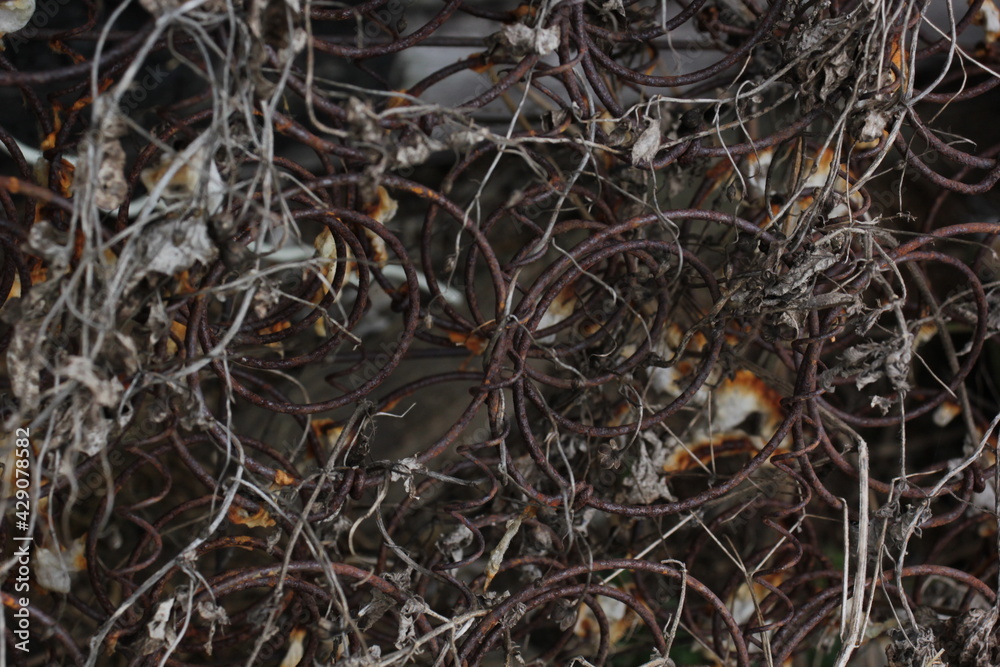 Old corroded spring of mattress dark background texture Old corroded spring of mattress dark background texture