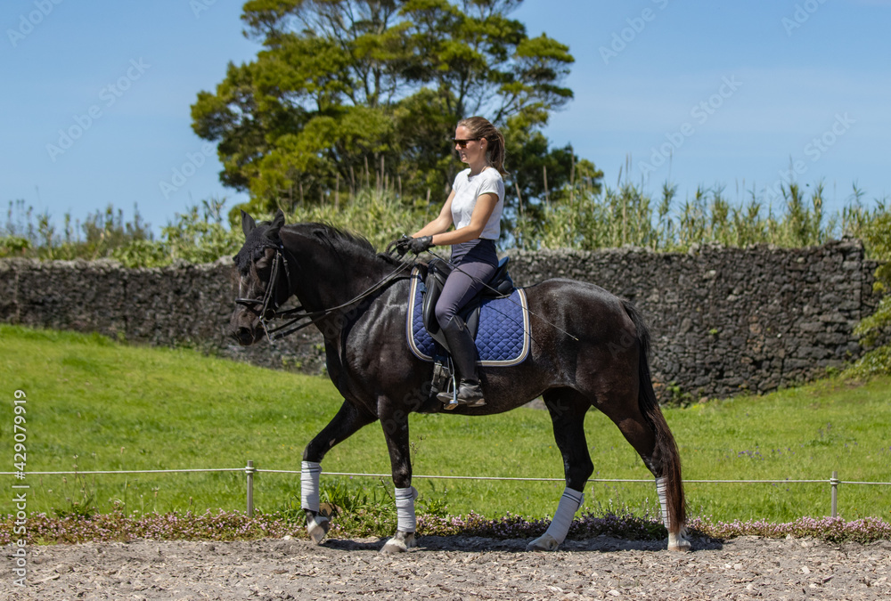 Happy woman riding black Lusitano horse, beautiful mare, outdoors. Happy woman riding black Lusitano horse, beautiful mare, outdoors.