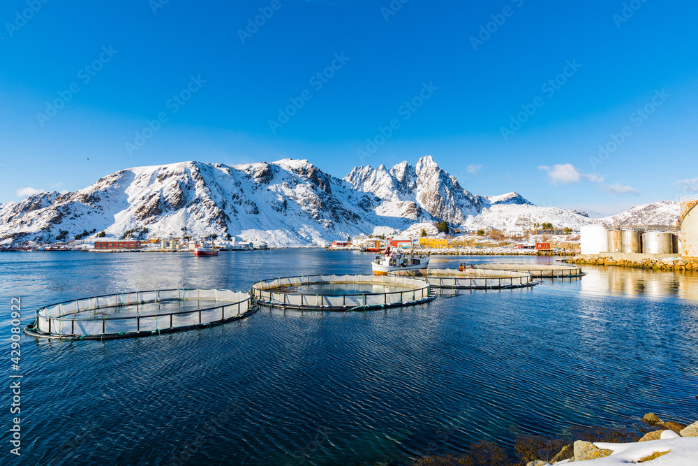 Kleiner Fischereihafen von Ballstad, Lofoten, Norwegen