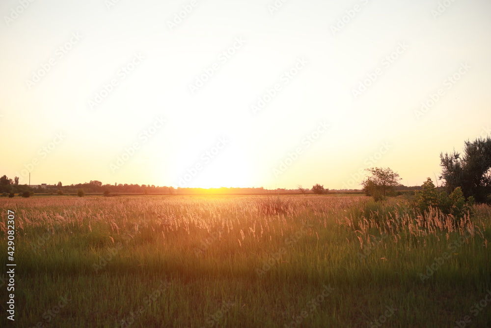 gorgeous sunset on a huge field in the countryside gorgeous sunset on a huge field in the countryside