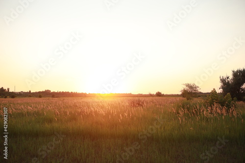 gorgeous sunset on a huge field in the countryside