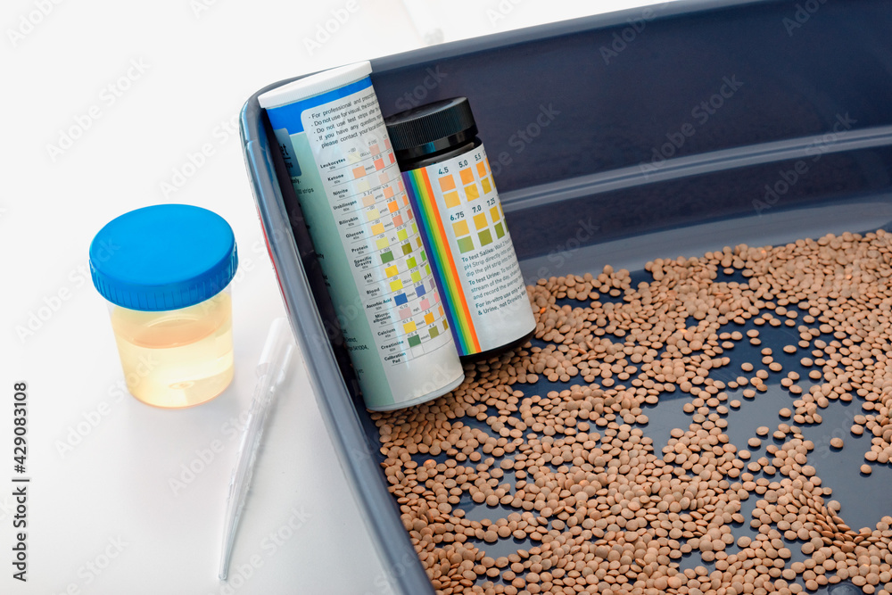 Lentils and cats pearl litter for urinalysis. Comparison between