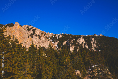 Landscape with forest and mountains