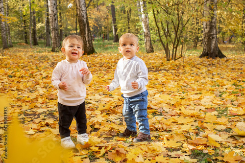 two little toddlers laugh under the falling autumn leaves. adorable kids in autumn park