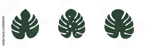 Monstera icon. Tropical leaves collection. Exotic jungle leaf. Monstera Deliciosa plants set. Vector illustration isolated on white.