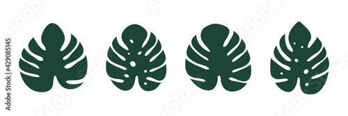 Monstera icon. Tropical leaves collection. Exotic jungle leaf. Monstera Deliciosa plants set. Vector illustration isolated on white.