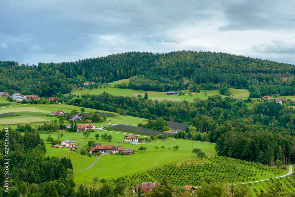 landscape with green fields