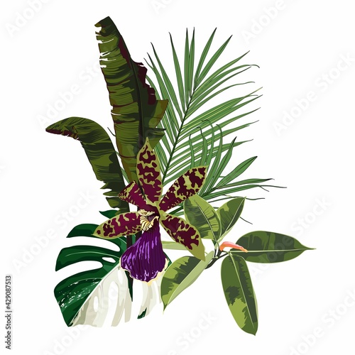 Tropical palm leaves, exotic colorful orchid flower over white background. Fashion summer print for wrapping, fabric, invitation card and your template design.