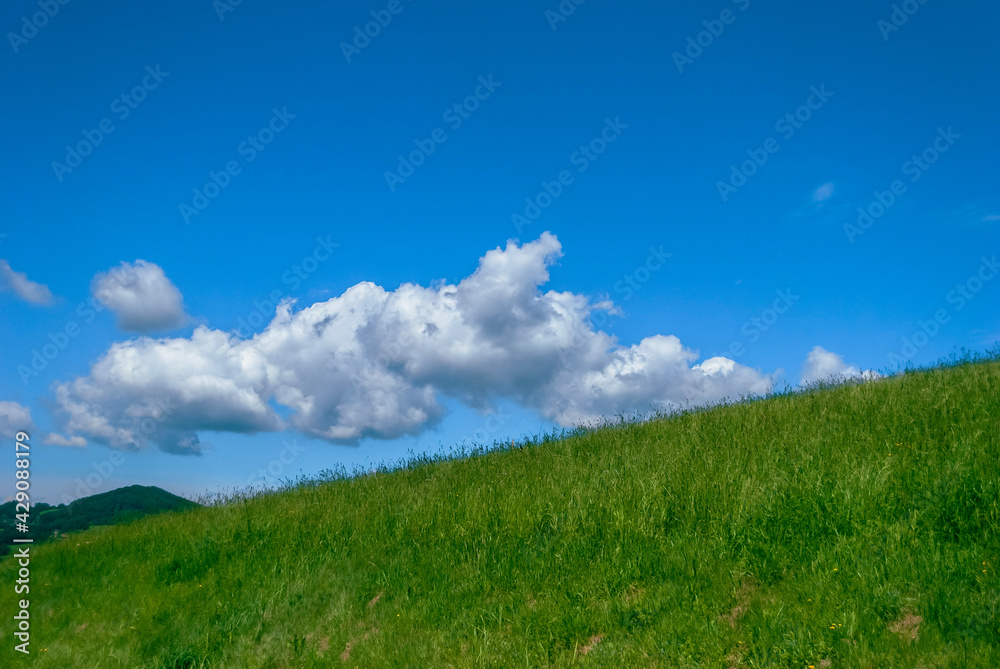 green grass and blue sky green grass and blue sky