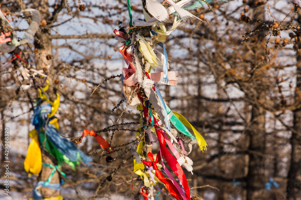 Colored ritual ribbons tied on the tree and wooden poles as a buddhist tradition on Baikal lake Colored ritual ribbons tied on the tree and wooden poles as a buddhist tradition on Baikal lake