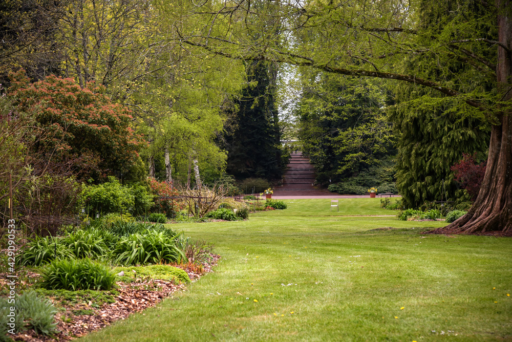 Obraz premium floral park