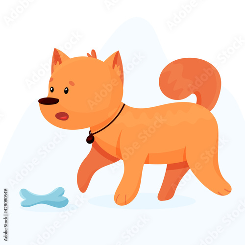 The domestic dog guards the bone. Cute pet
