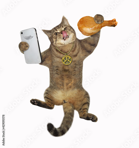 A beige cat takes a selfie with a fried chicken leg. White background. Isolated.