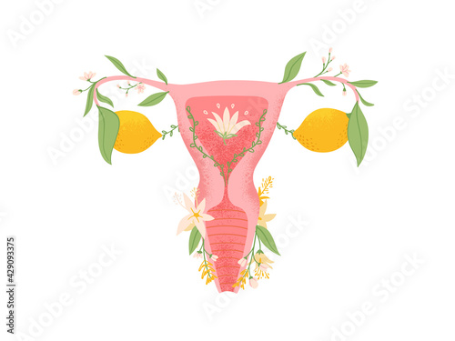 Female reproductive system vector cute illustration with flowers. Woman womb and vagina concept abstract style. 
