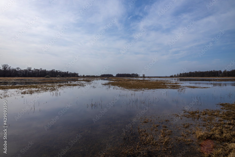 A flooded field on the outskirts of the village, the sky is reflected in the water. Trees and bushes on the horizon. Rural landscape in early spring. High water on the outskirts of the village.