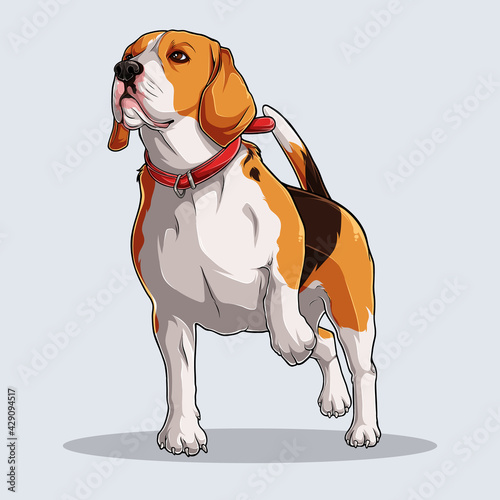 Cute Beagle dog illustrated with colorful shadows and lights isolated on white background