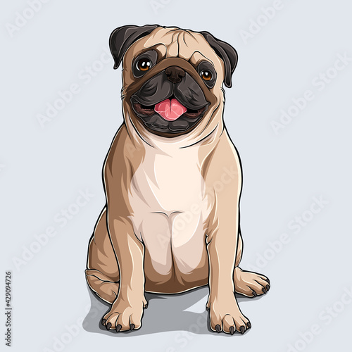 Cute beige Pug dog sitting illustrated with colorful shadows and lights isolated on white background 