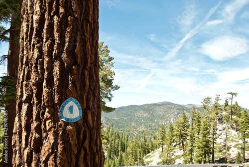 Tahoe Rim Trail marker on a tree. Blue and white Tahoe Rim Trail logo with a map of Lake Tahoe and the trail. Located near Kingsburry South trail head and Heavenly Ski Resort.  photo