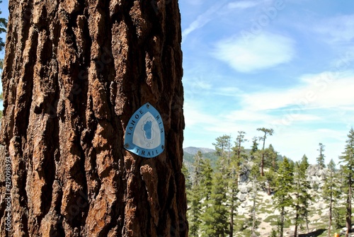 Tahoe Rim Trail marker on a tree. Blue and white Tahoe Rim Trail logo with a map of Lake Tahoe and the trail. Located near Kingsburry South trail head and Heavenly Ski Resort. 