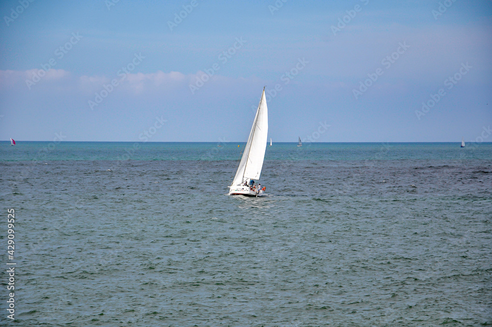 Obraz premium sailboat on the sea