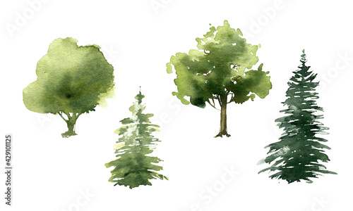 Watercolor green tree colection. Painted pine plant. Forest illustration. Summer or spring design