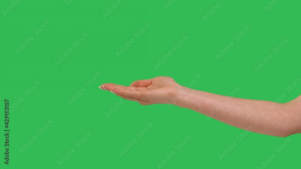 Close up side view of beautiful outstretched female hand isolated on green screen chroma key background. Woman holding empty open flat palm showing something virtual and invisible. Slow motion.