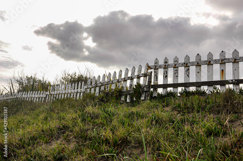 Wooden fence with plants and clouds