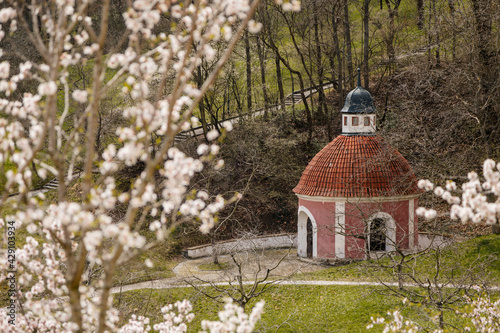 Photography Former chapel of the Infant Jesus, Petrin hill, apple blossom white and pink flo