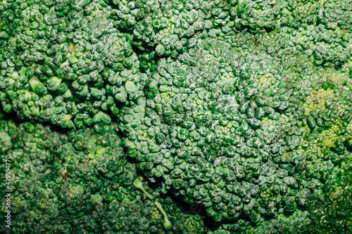 close-up shot from above of a broccoli