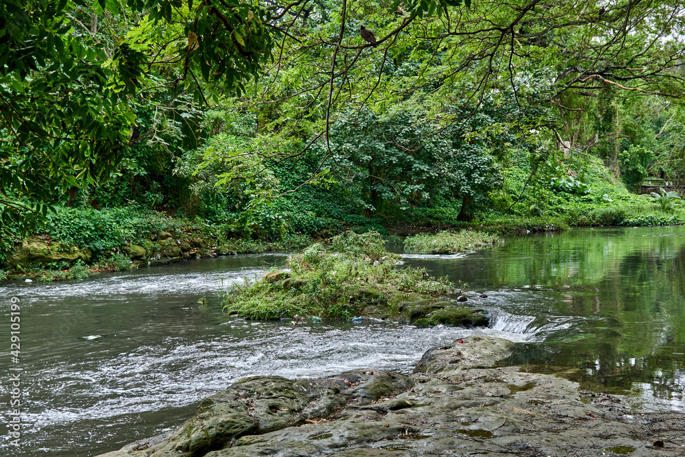 Cuba. Havana. Park Almendares. The Almendares River Cuba. Havana. Park Almendares. The Almendares River